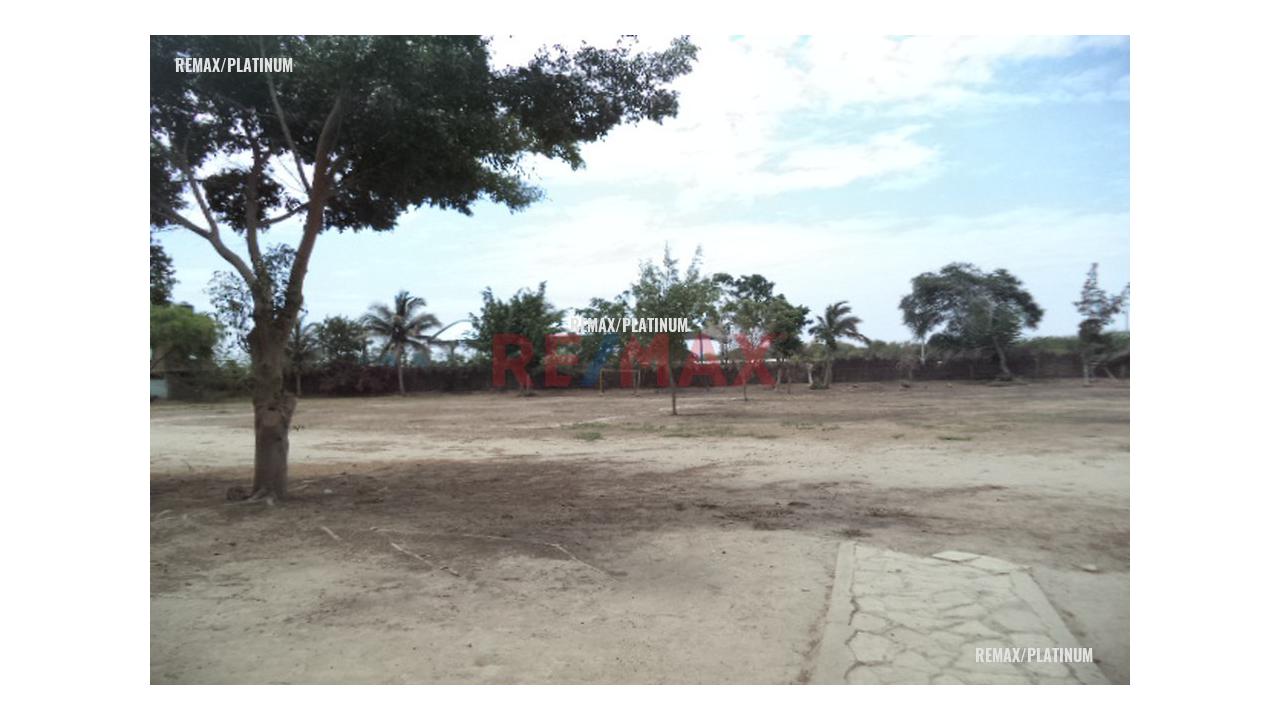 Alquiler De Local Comercial Carretera Piura A Catacaos - 3