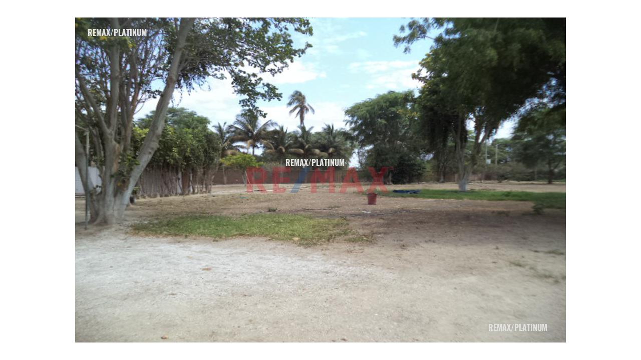 Alquiler De Local Comercial Carretera Piura A Catacaos - 5