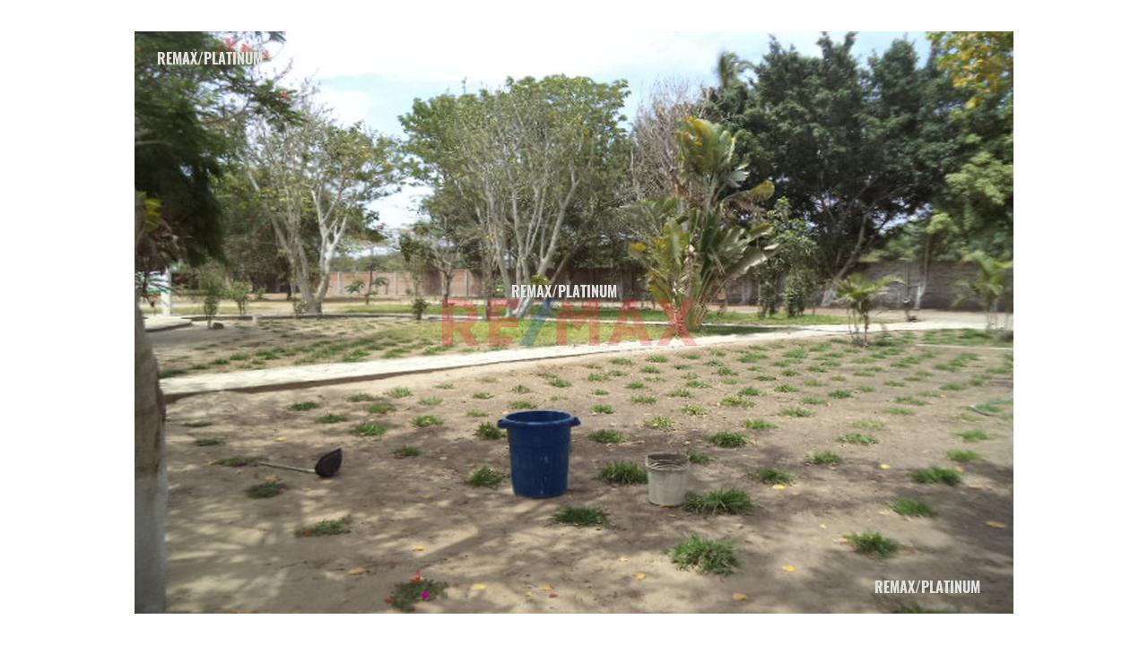 Alquiler De Local Comercial Carretera Piura A Catacaos - 7
