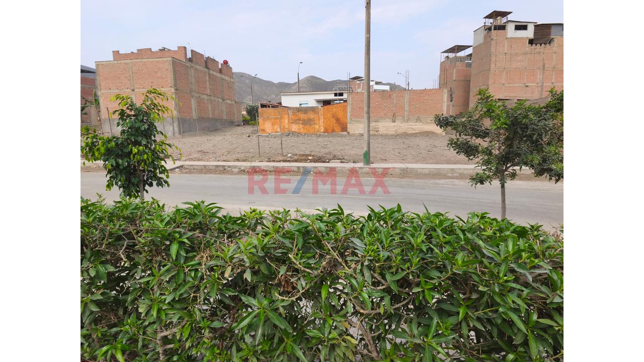Terreno En Venta En Carabayllo A 10 Minutos De Av. Tupac Amaru - 3