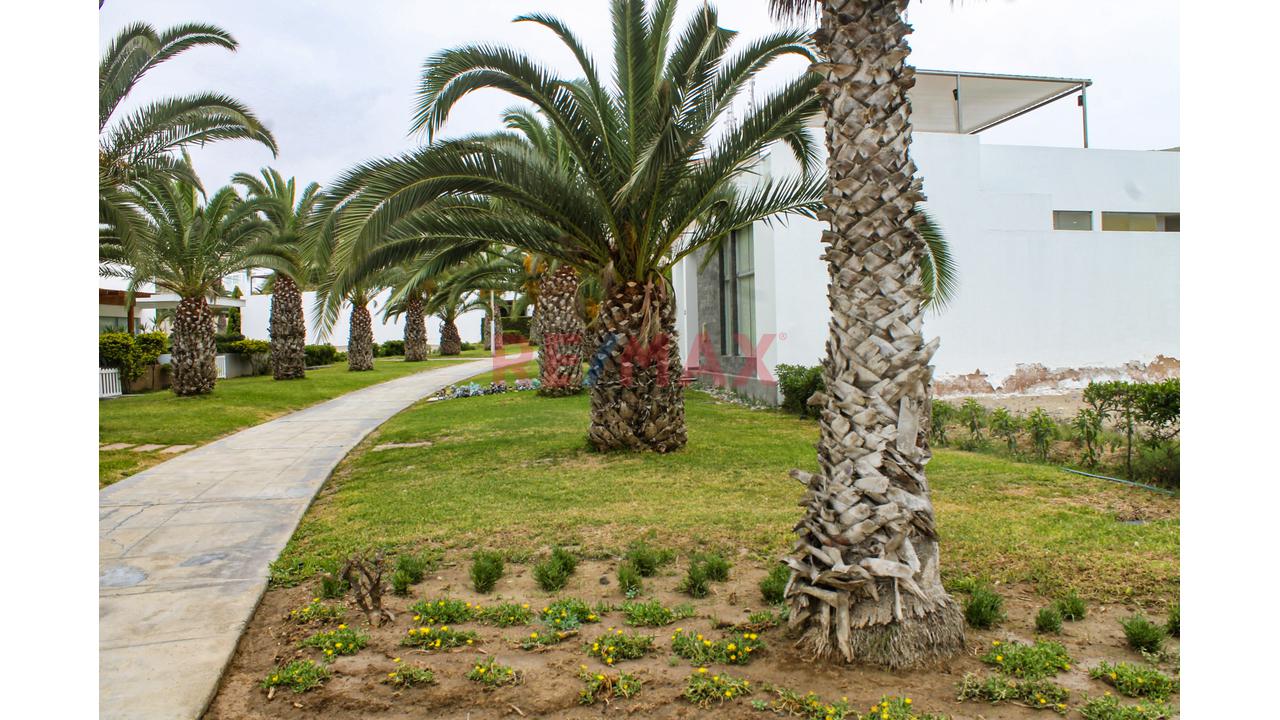 Terreno En Venta En Asia ¡Tu Casa De Playa Te Espera! 🌴 - 3