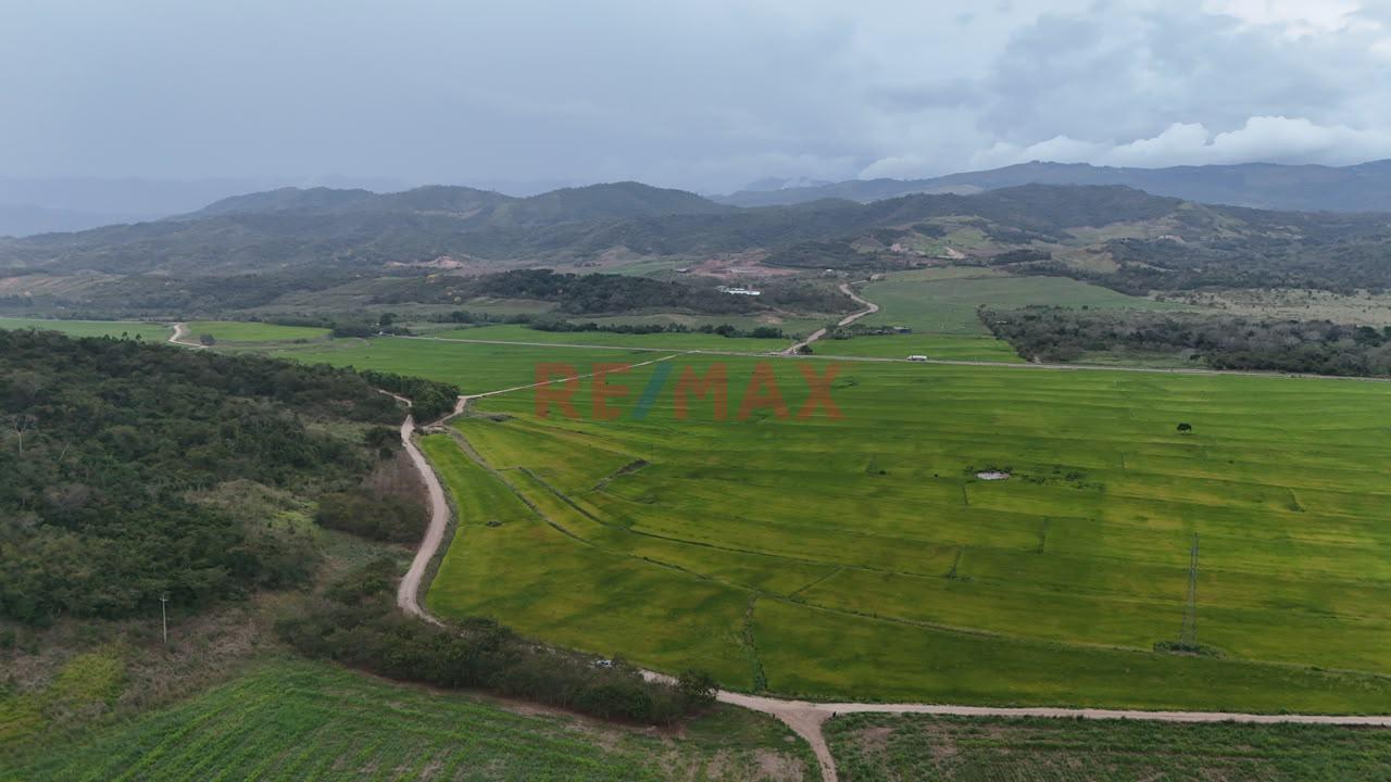 Terreno Agricola Oportunidad De Inversion Tarapoto Mas De 8 Hectareas - 3