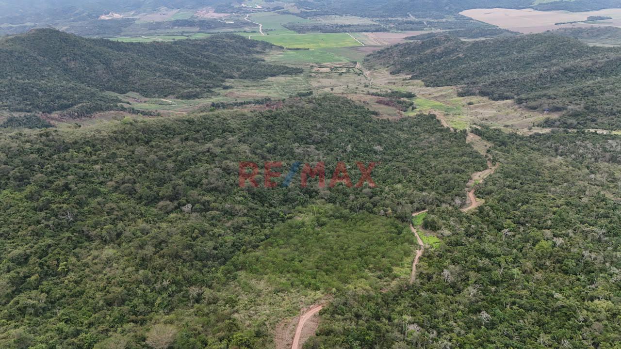 Terreno Agricola Oportunidad De Inversion Tarapoto Mas De 8 Hectareas - 5