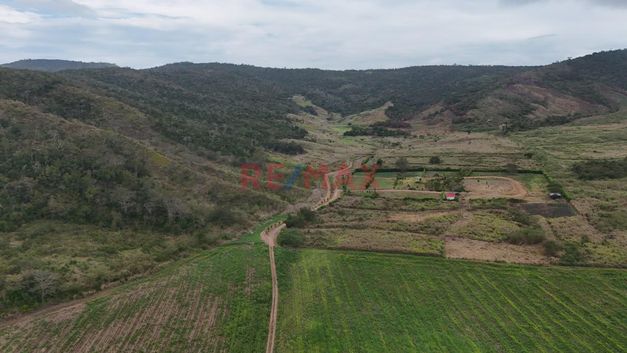Terreno Agricola Oportunidad De Inversion Tarapoto Mas De 8 Hectareas - 6