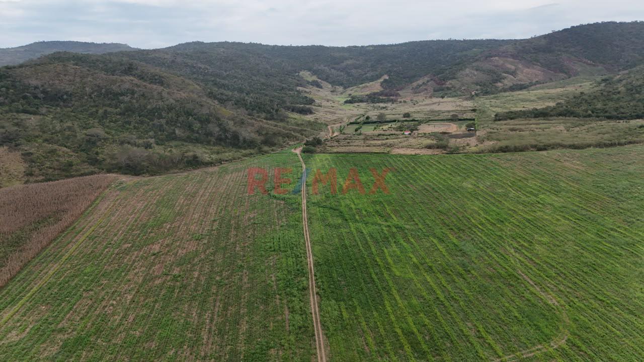 Terreno Agricola Oportunidad De Inversion Tarapoto Mas De 8 Hectareas - 7