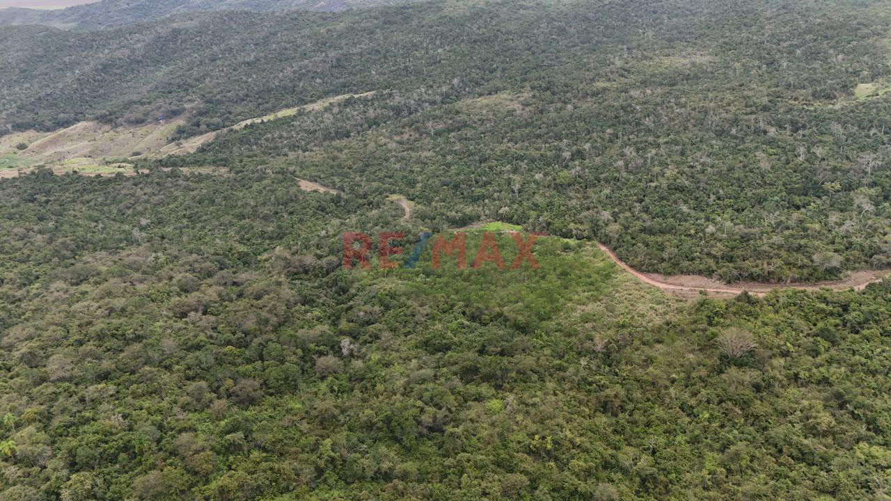 Terreno Agricola Oportunidad De Inversion Tarapoto Mas De 8 Hectareas - 8