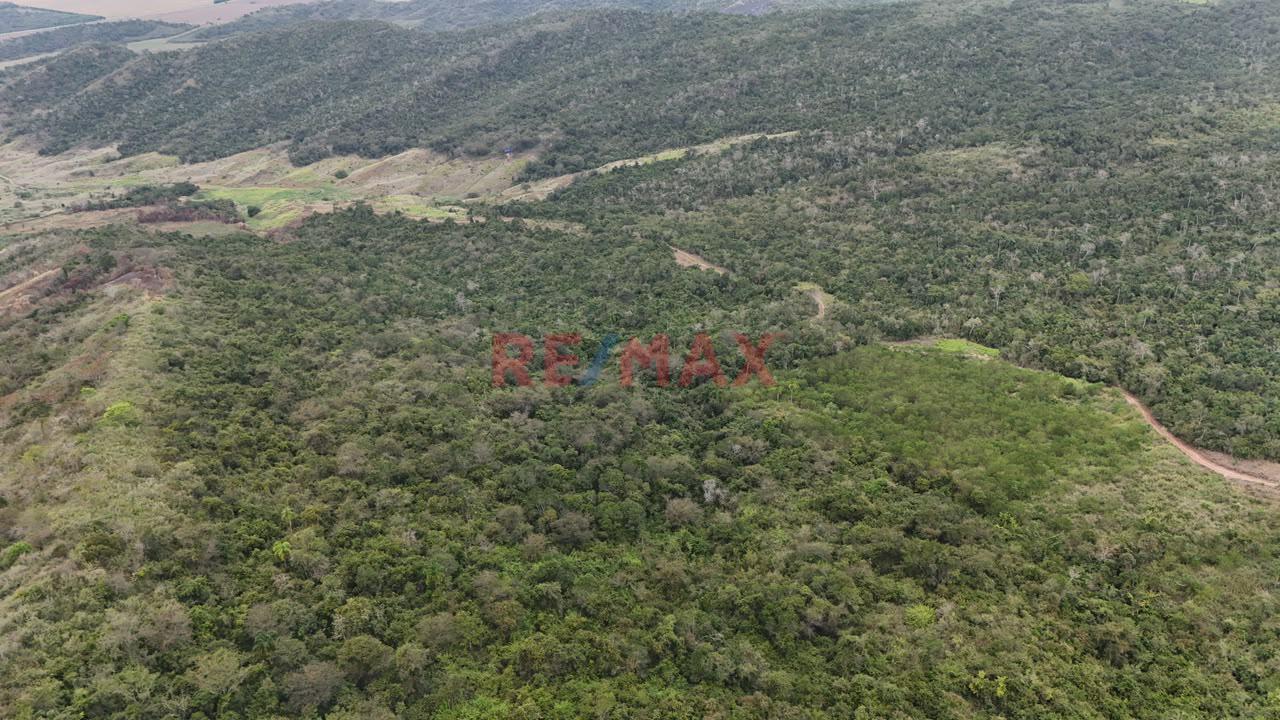 Terreno Agricola Oportunidad De Inversion Tarapoto Mas De 8 Hectareas - 9