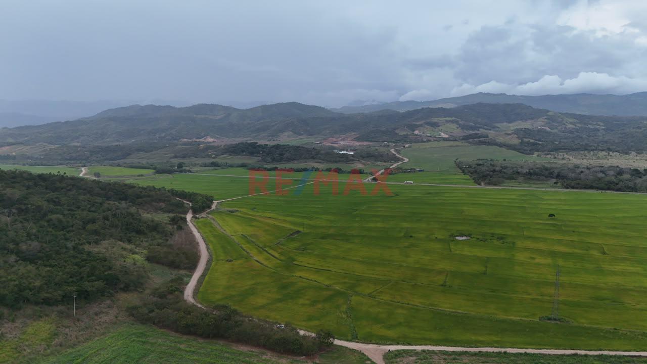 Terreno Agricola Oportunidad De Inversion Tarapoto Mas De 8 Hectareas - 4