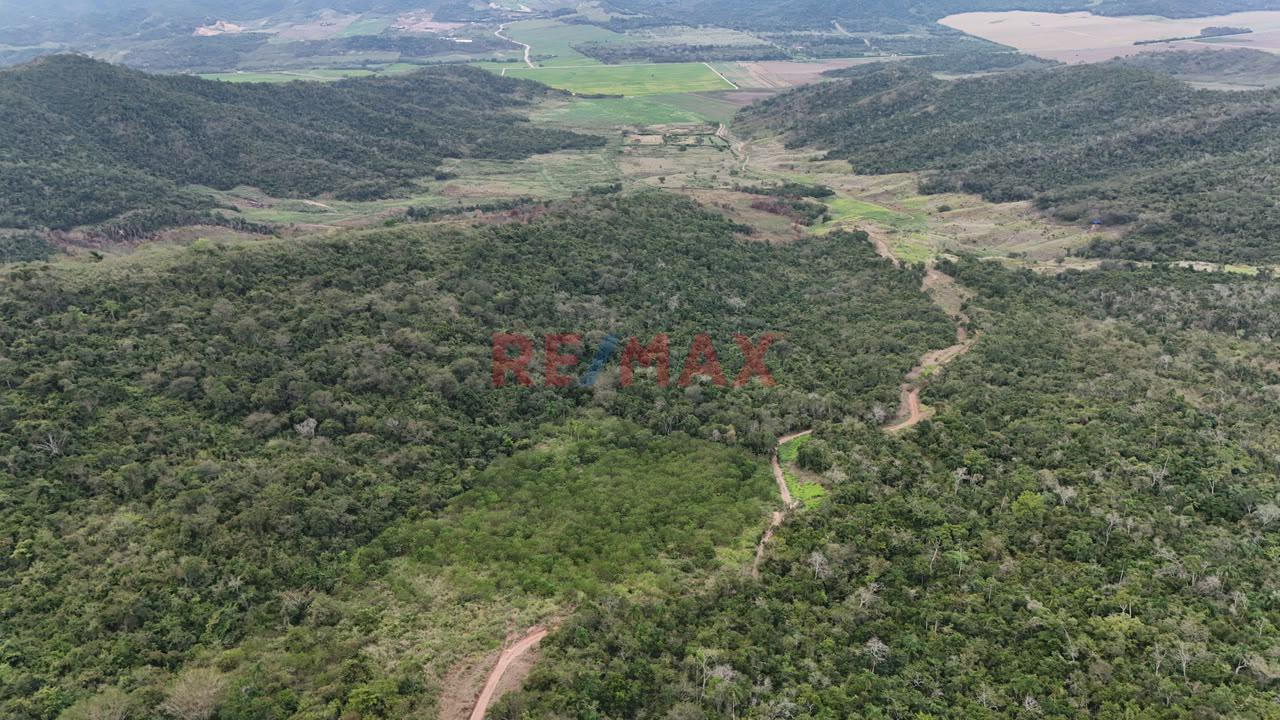 Terreno Agricola Oportunidad De Inversion Tarapoto Mas De 8 Hectareas - 2