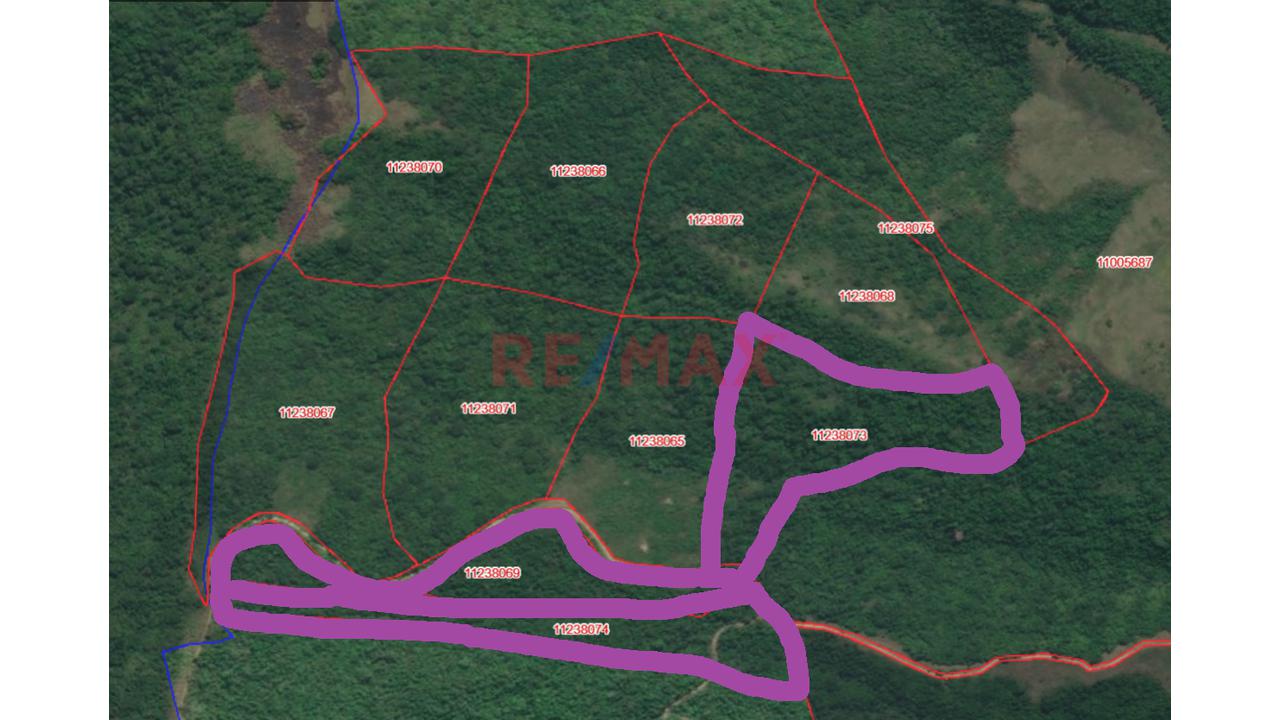Terreno Agricola Oportunidad De Inversion Tarapoto Mas De 8 Hectareas - 11