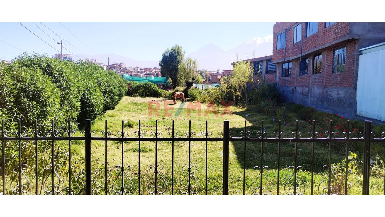 Alquiler De Amplio Terreno Rustico En Avenida , Cerca A Los Toritos De Carmen Alto Cayma - 1