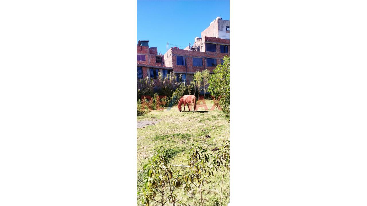 Alquiler De Amplio Terreno Rustico En Avenida , Cerca A Los Toritos De Carmen Alto Cayma - 6