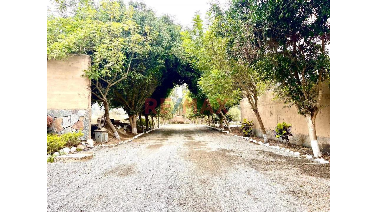 🌳 ¡Pachacámac, Terreno Con Gran Potencial! - 11
