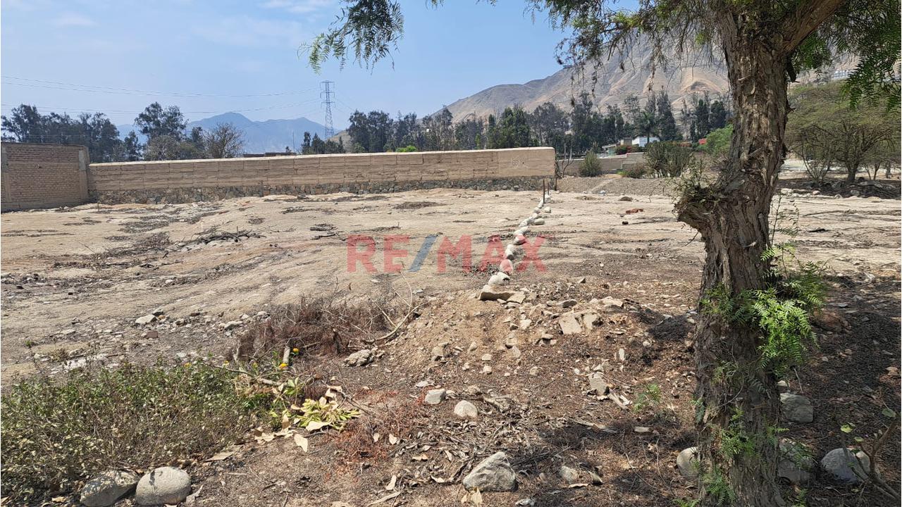🌳 ¡Pachacámac, Terreno Con Gran Potencial! - 9