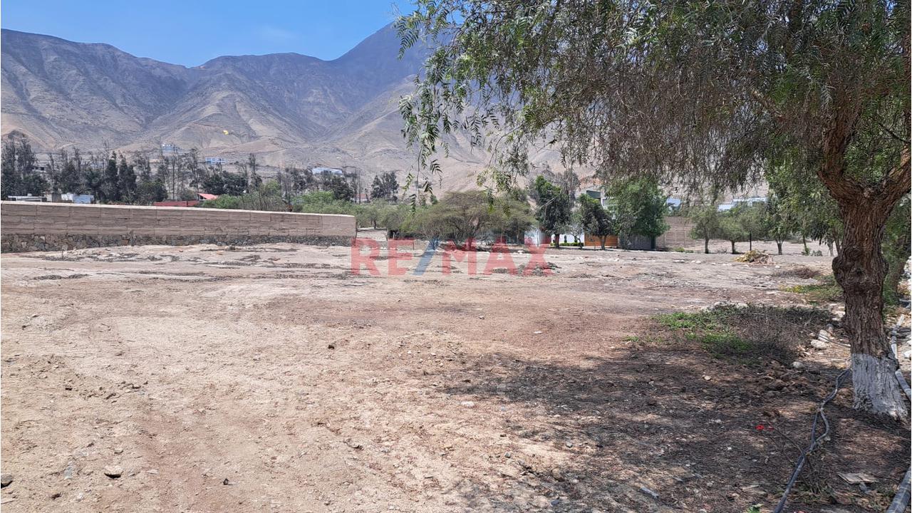 🌳 ¡Pachacámac, Terreno Con Gran Potencial! - 8