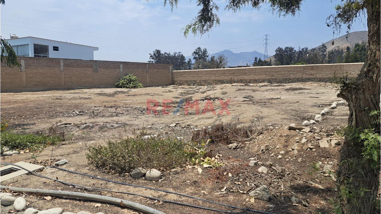 🌳 ¡Pachacámac, Terreno Con Gran Potencial! - 5