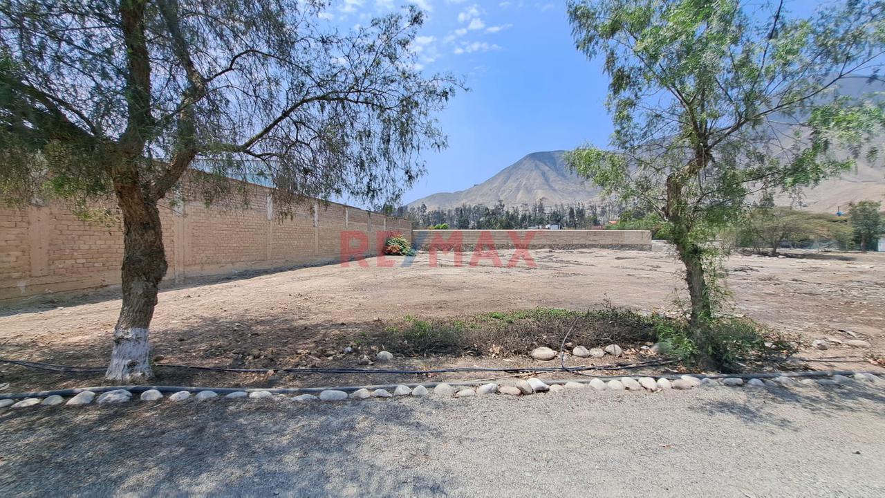 🌳 ¡Pachacámac, Terreno Con Gran Potencial! - 7