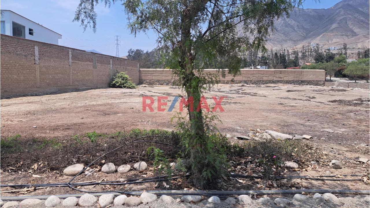 🌳 ¡Pachacámac, Terreno Con Gran Potencial! - 1