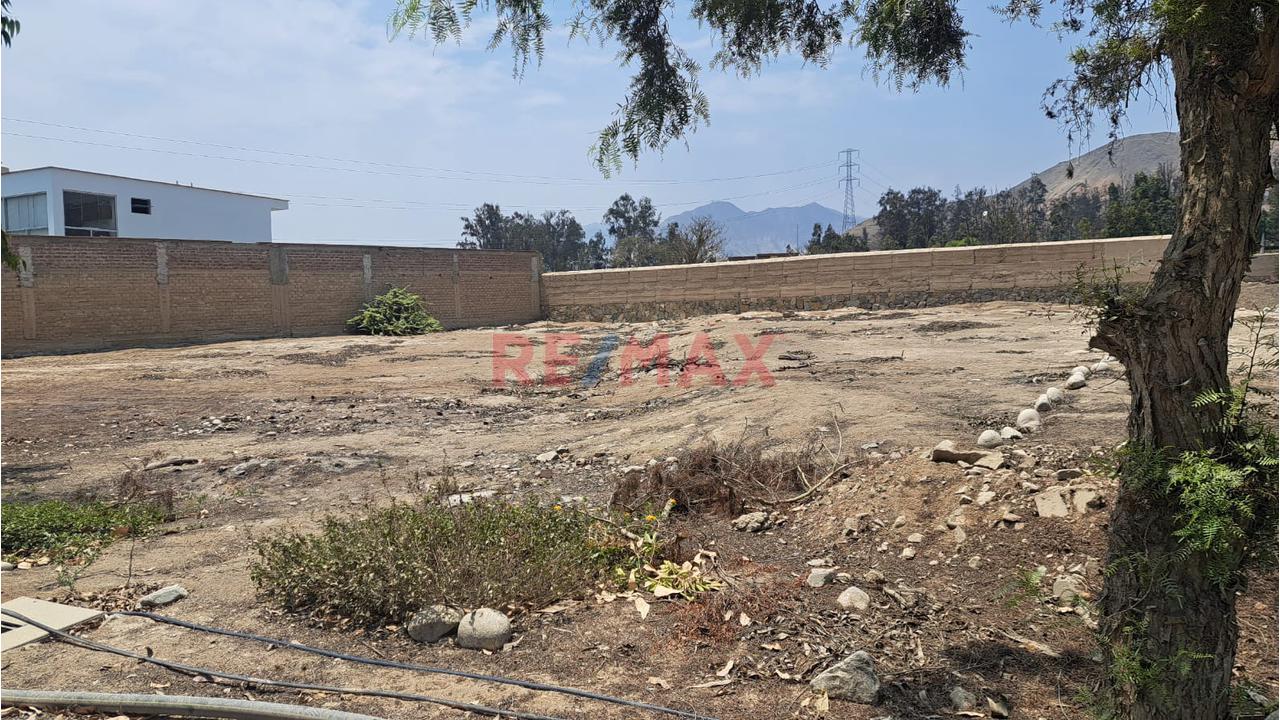 🌳 ¡Pachacámac, Terreno Con Gran Potencial! - 4