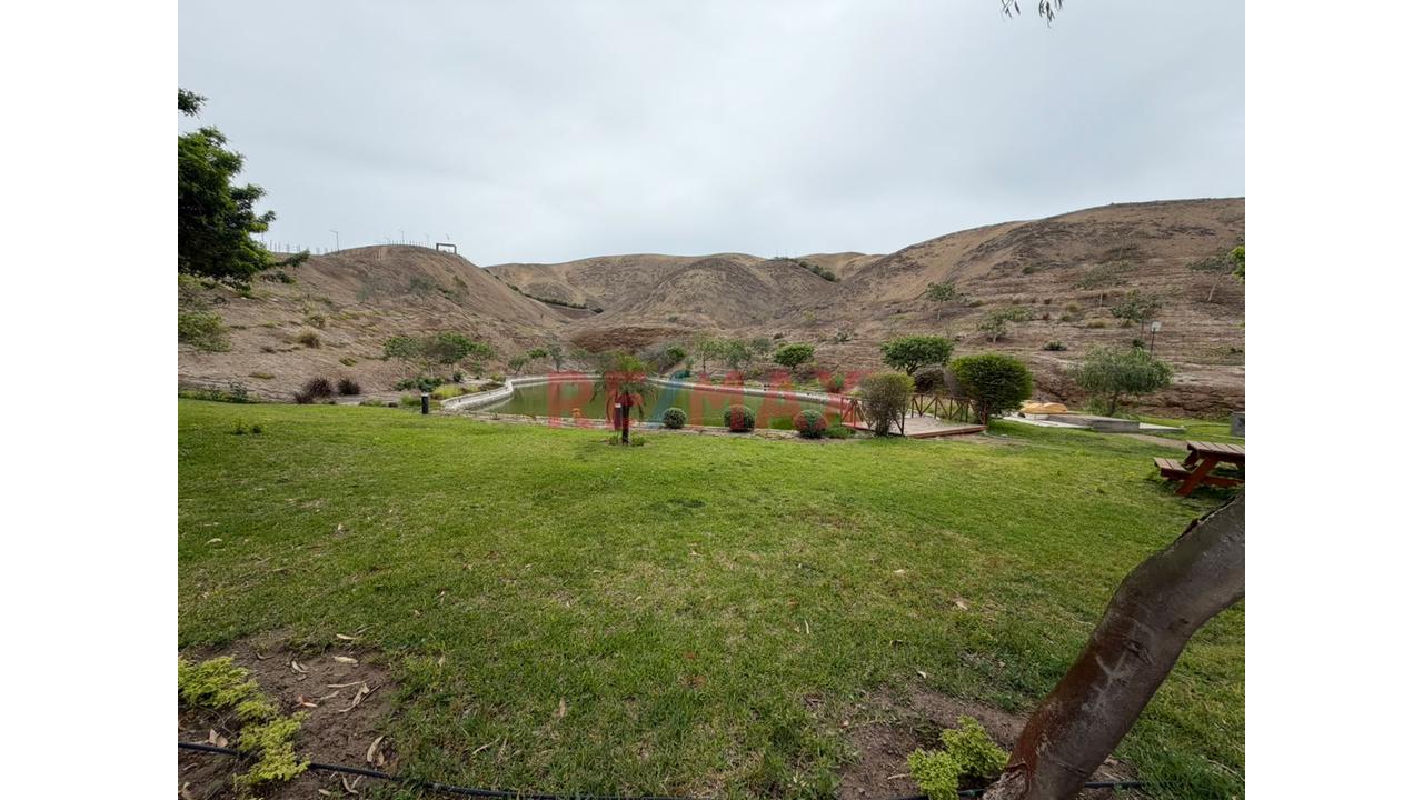 Venta De Terreno De 142.20 M² En Condominio Nuevo Polo – San Antonio, Cañete - 19