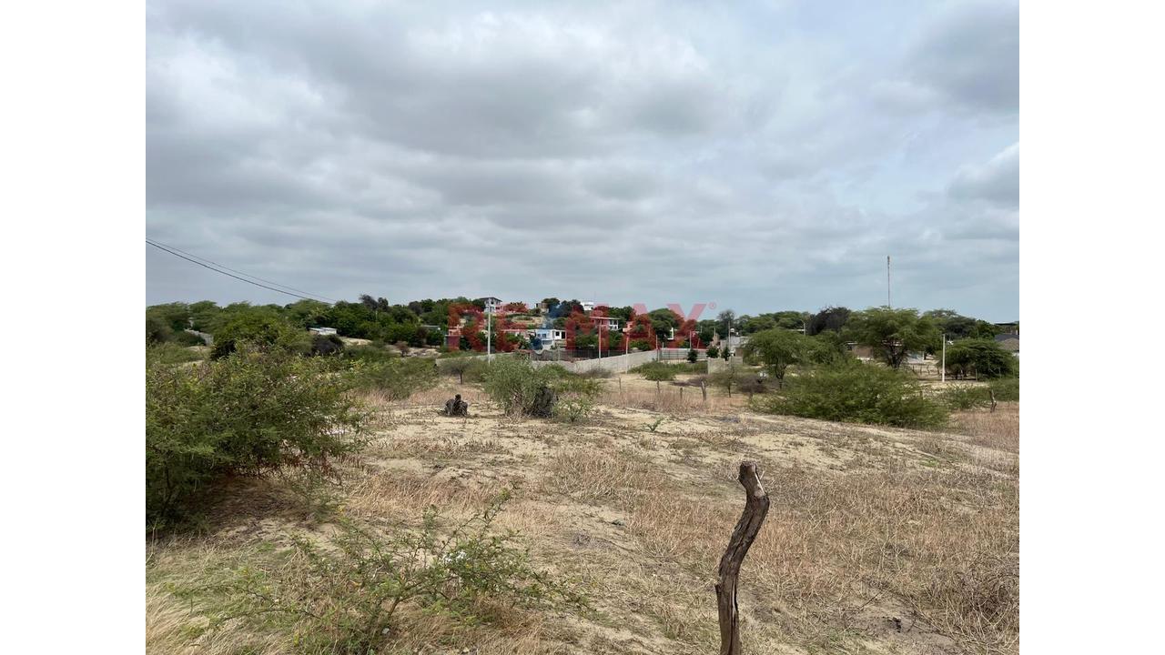Terreno De 1132 M2 En Venta En La Mariposa - 5