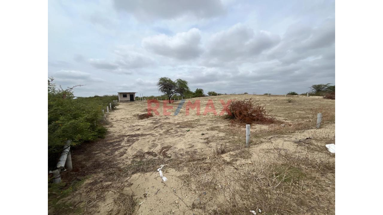 Terreno De 1132 M2 En Venta En La Mariposa - 1