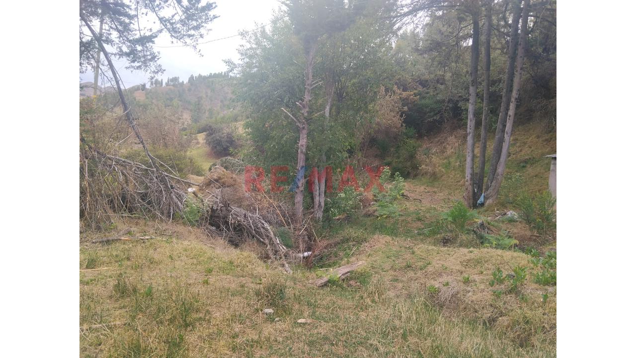 🏡 ¡Oportunidad De Inversión En Cachimayo, Cusco! 🌿 - 7