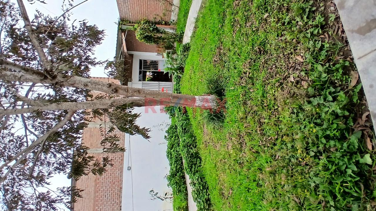 Local Campestre En Venta: 1,209 M² Con Salón, Jardines Y Casa Moderna En Pleno Panamericana- Chancay - 12