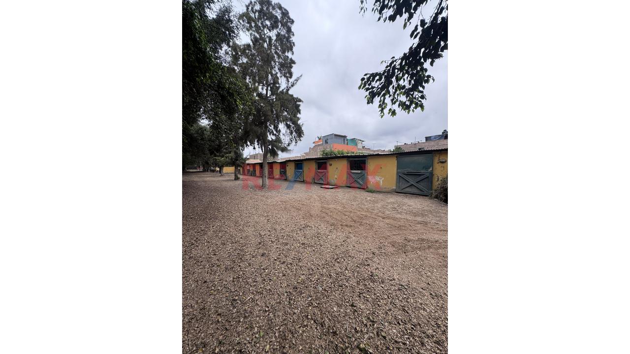 🏡 Terreno De 17,800 M² En Excelente Ubicación – Lurín - 7