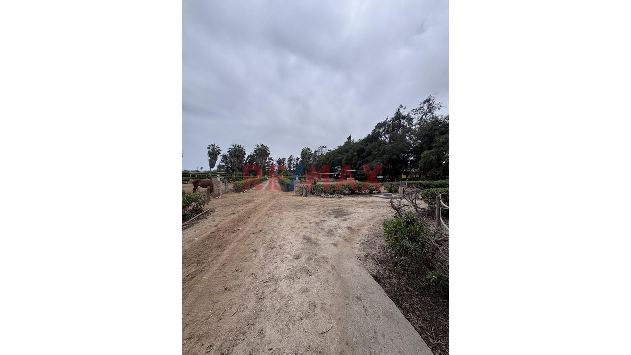 🏡 Terreno De 17,500 M² En Excelente Ubicación – Lurín - 5