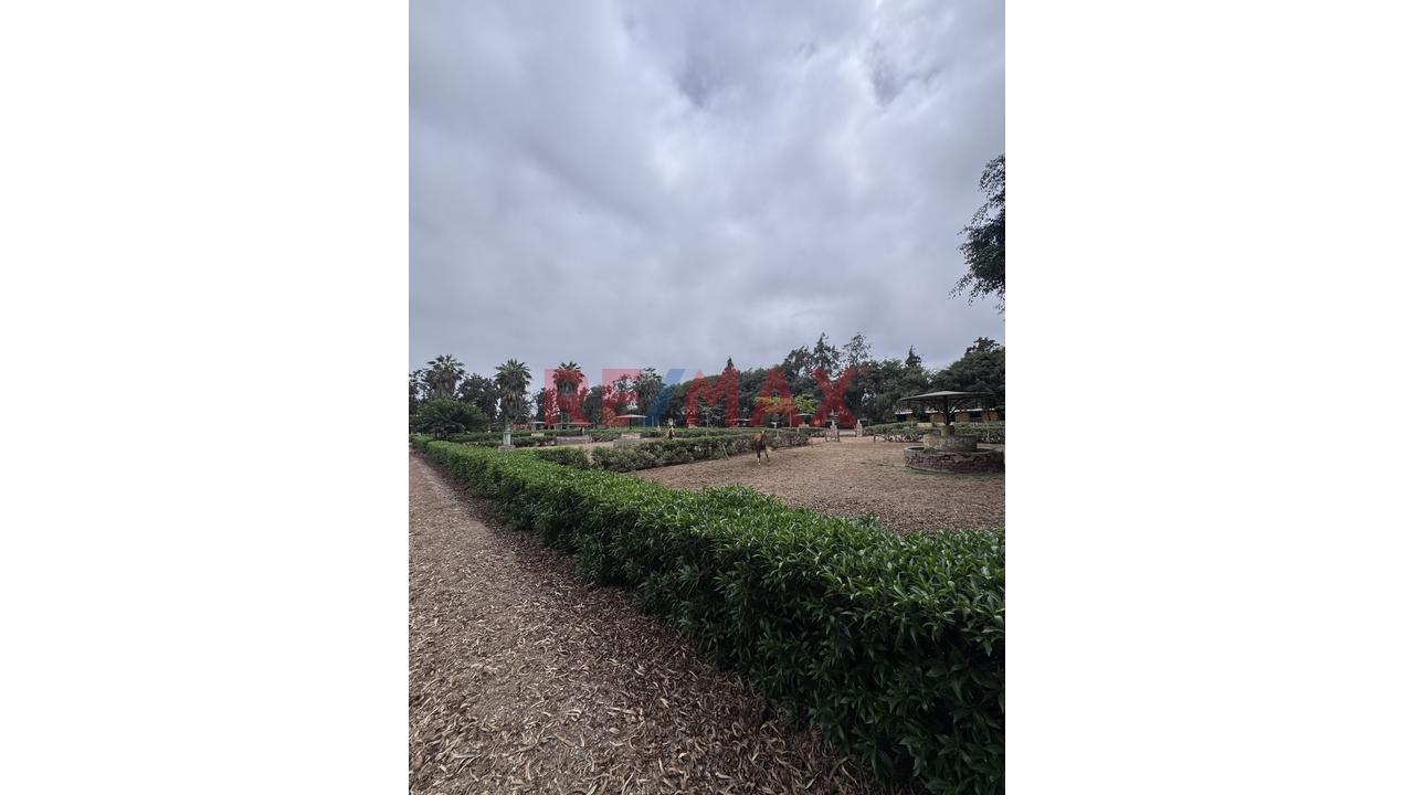 🏡 Terreno De 17,500 M² En Excelente Ubicación – Lurín - 4