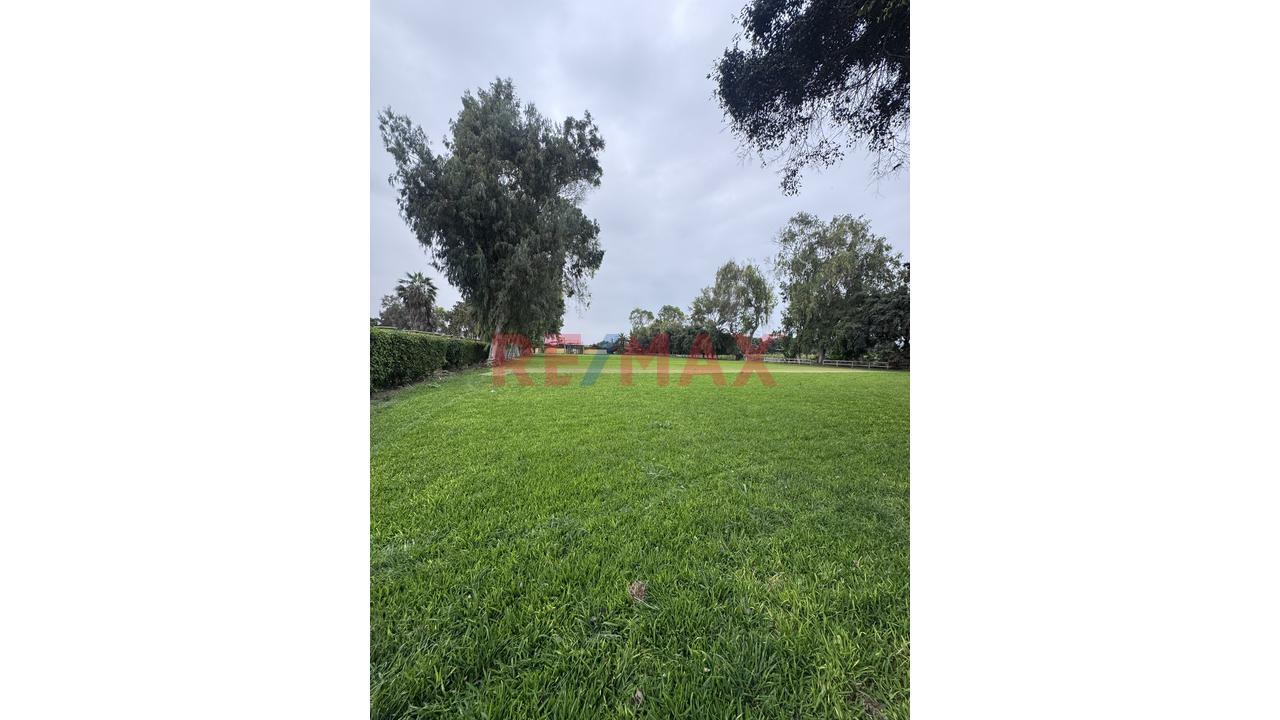 🏡 Terreno De 17,500 M² En Excelente Ubicación – Lurín - 2