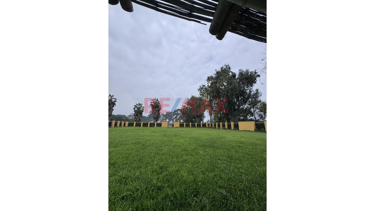 🏡 Terreno De 17,500 M² En Excelente Ubicación – Lurín - 1