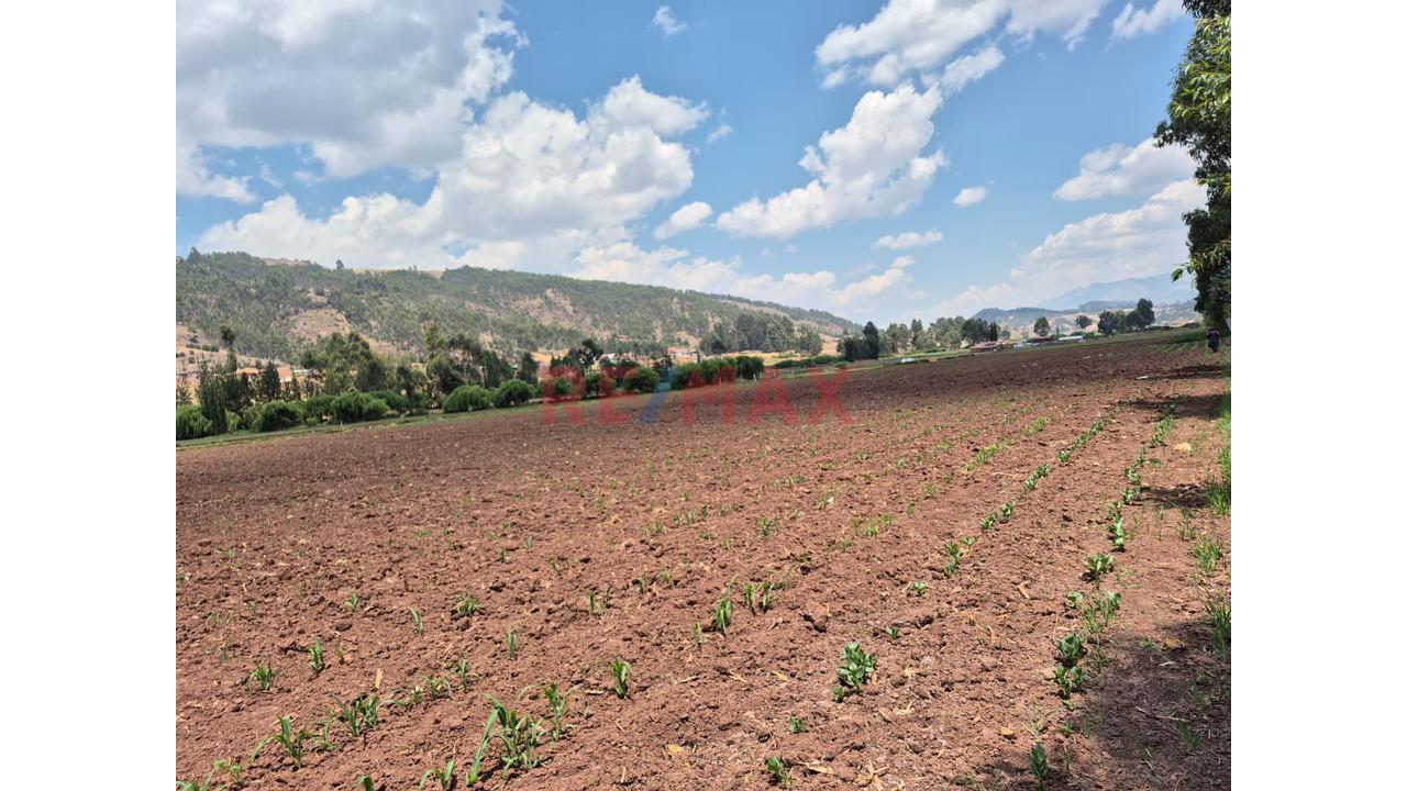 En Venta Terreno Cachimayo Anta Cusco - 6