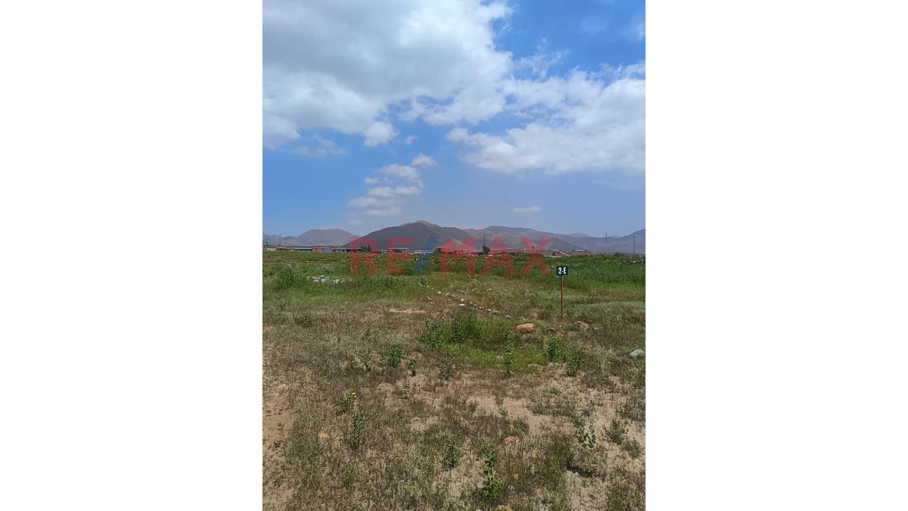 Lote De 300.01 Metros Con Titulo En Sunarp En El Corazon De Mollebaya - 5