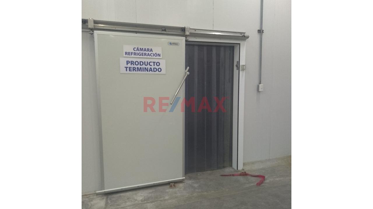 Alquiler De Camras De Frio Con Areas De Preparacion - 2