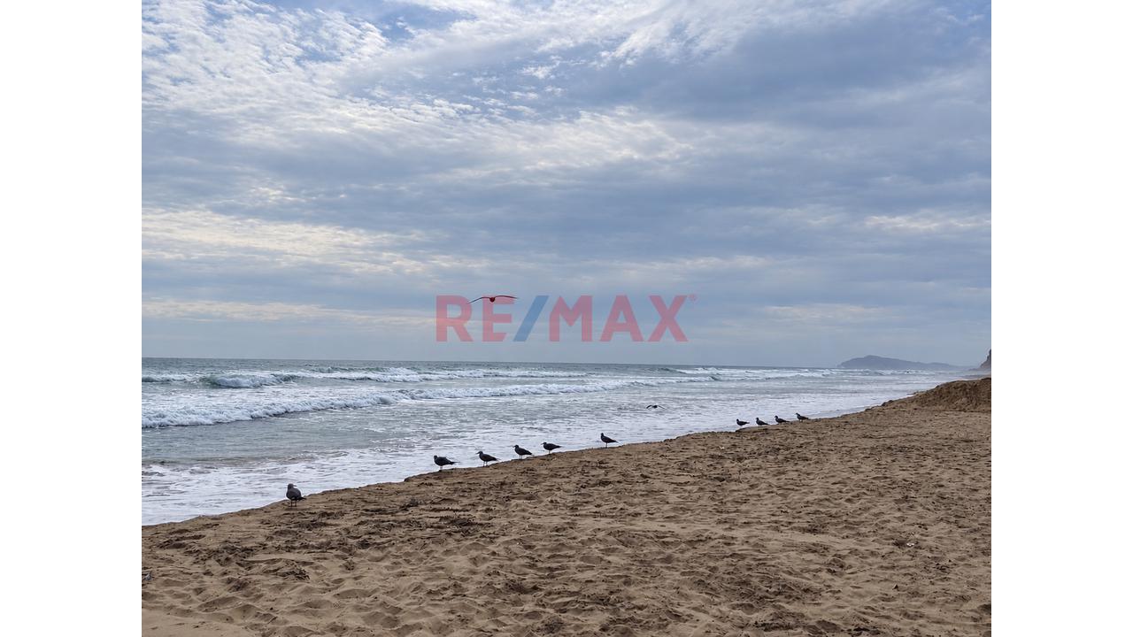 Venta Casa De Playa En Asia Bonita, Asia – 123 M² De Terreno, Jardín, Terraza Y 2 Estacionamientos — foto 13
