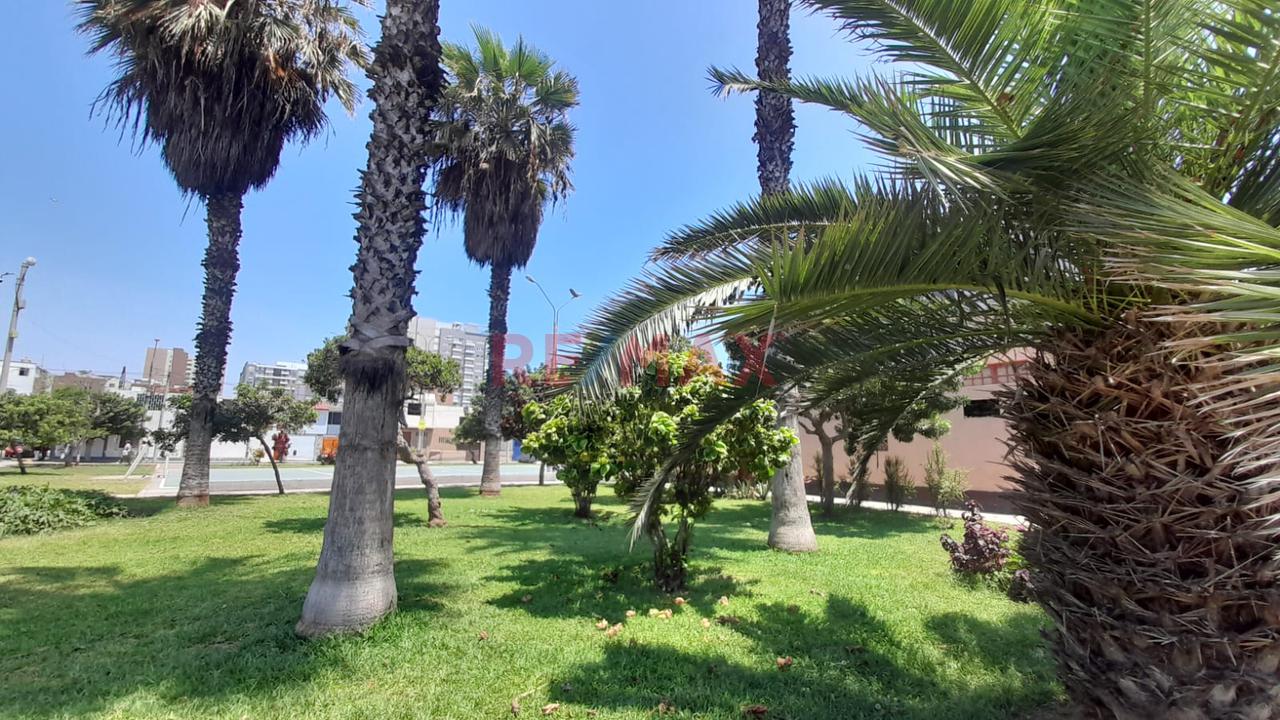 Venta Departamento De Estreno En San Miguel — foto 6