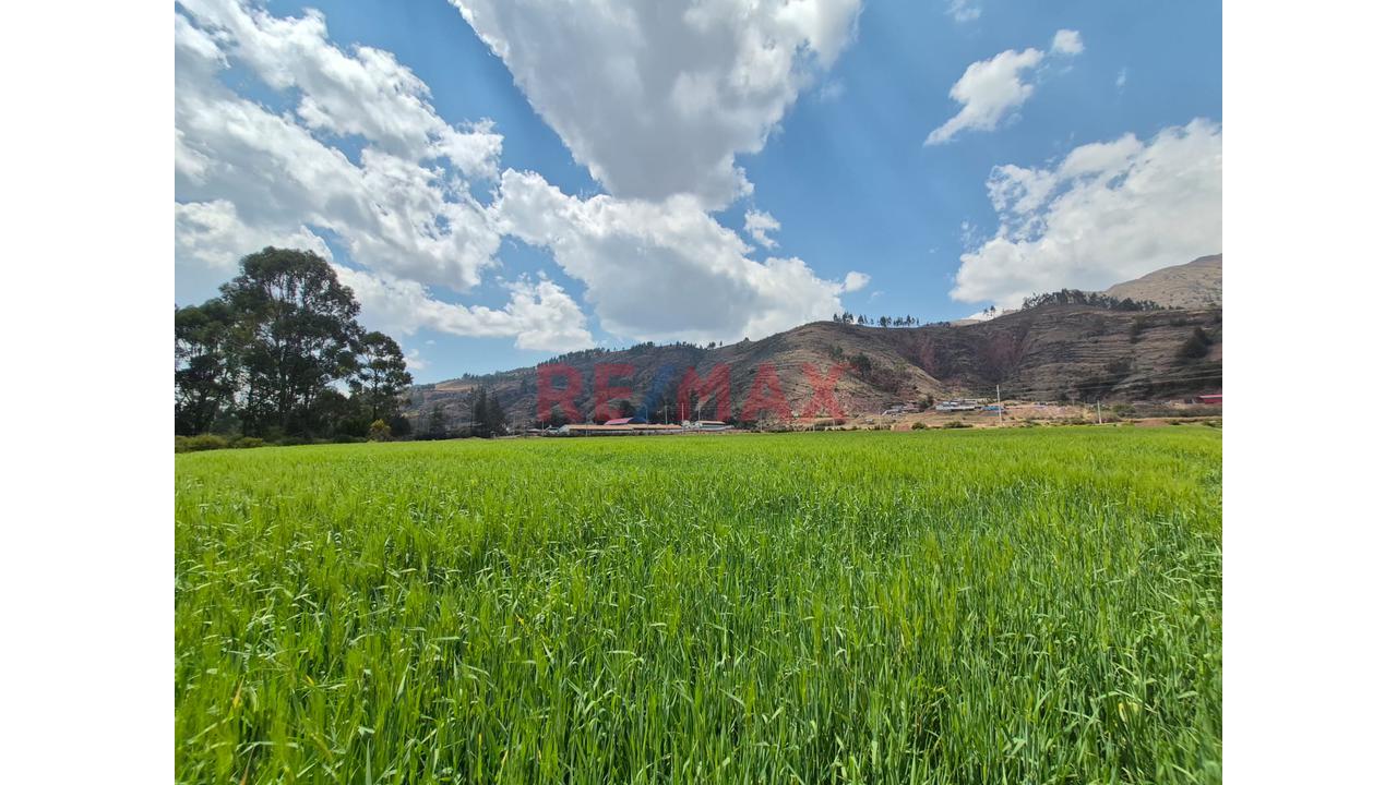 En Venta Terreno Pucyura, Anta, Cusco - 3