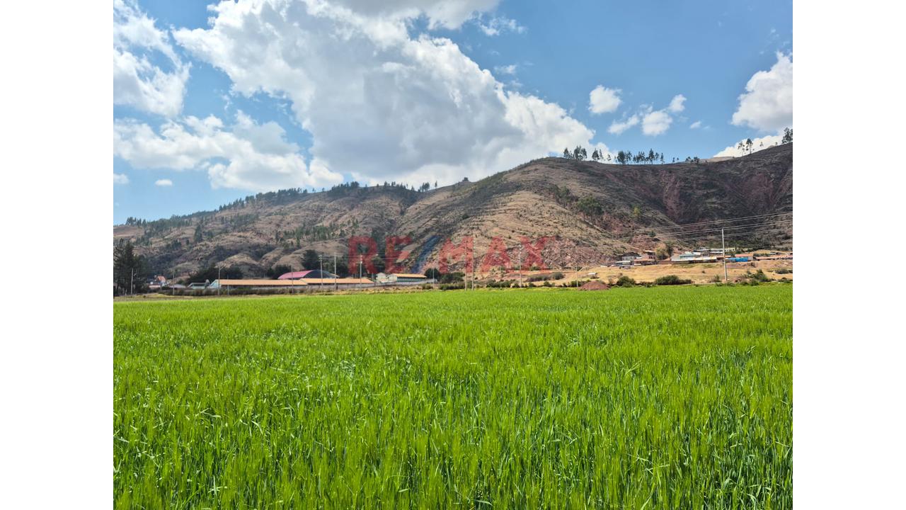 En Venta Terreno Pucyura, Anta, Cusco - 2
