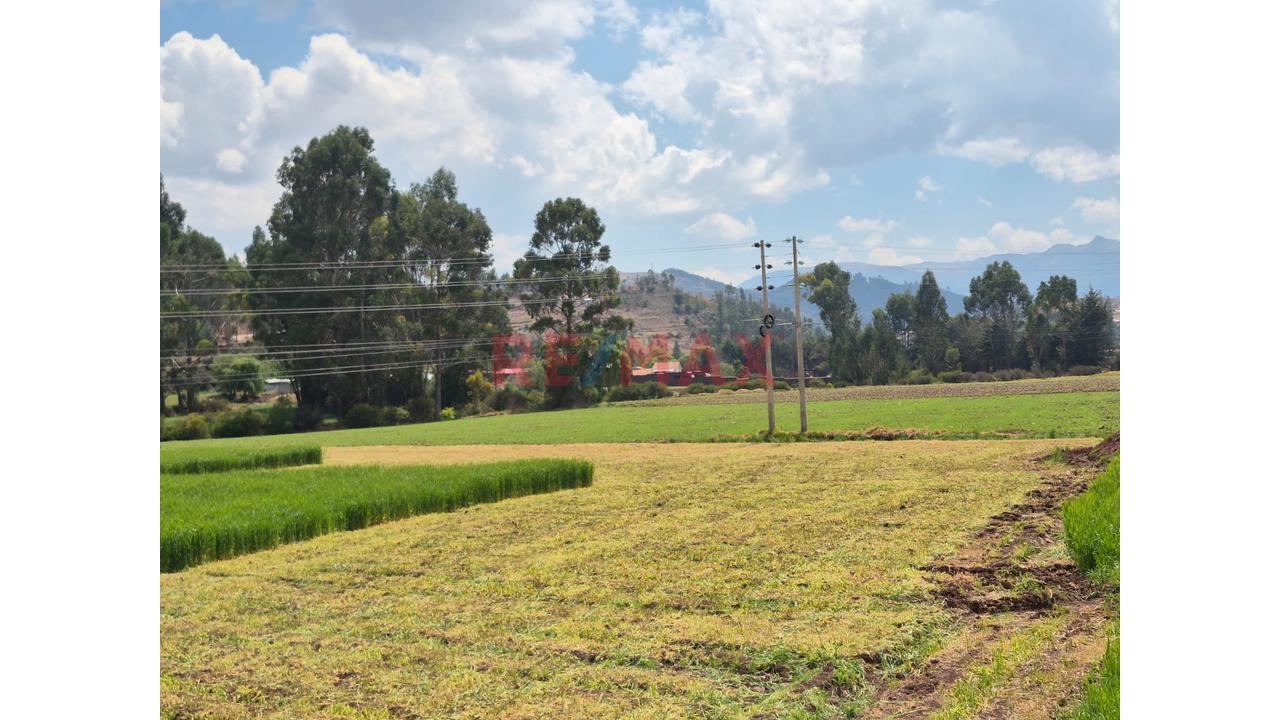 En Venta Terreno Pucyura, Anta, Cusco - 5