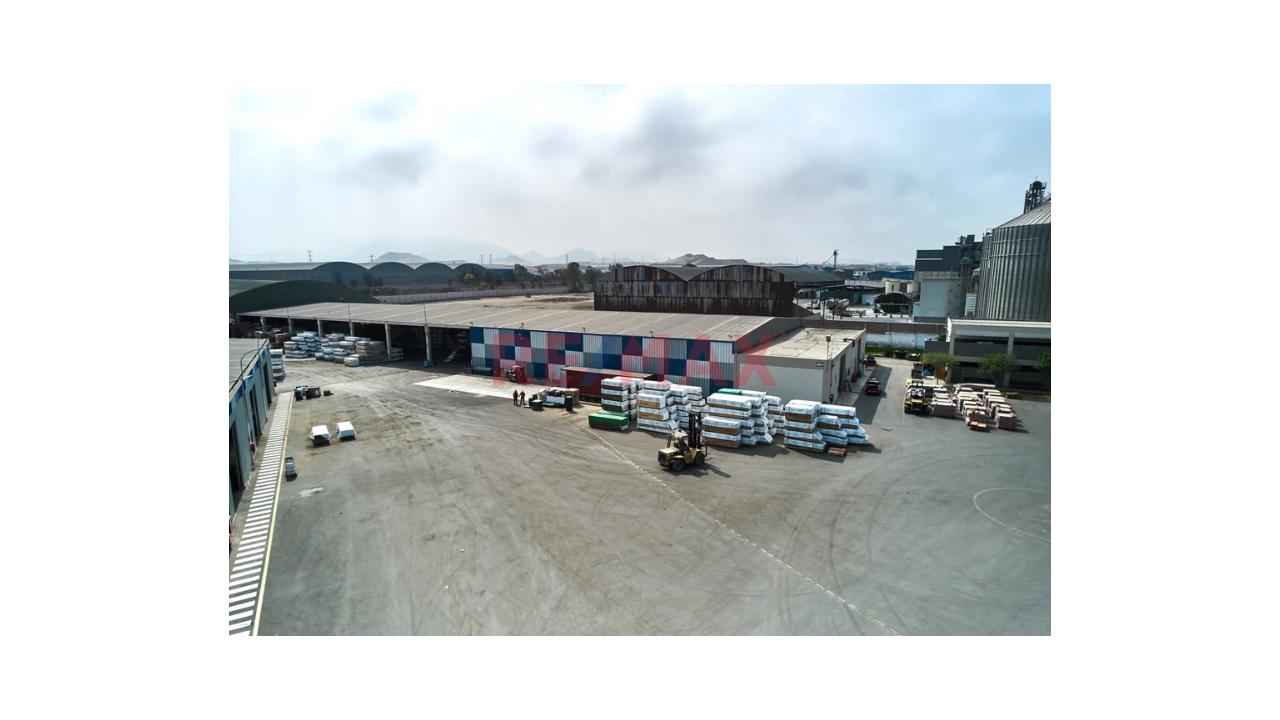 Alquilo Terreno Industrial - Lurín - 1