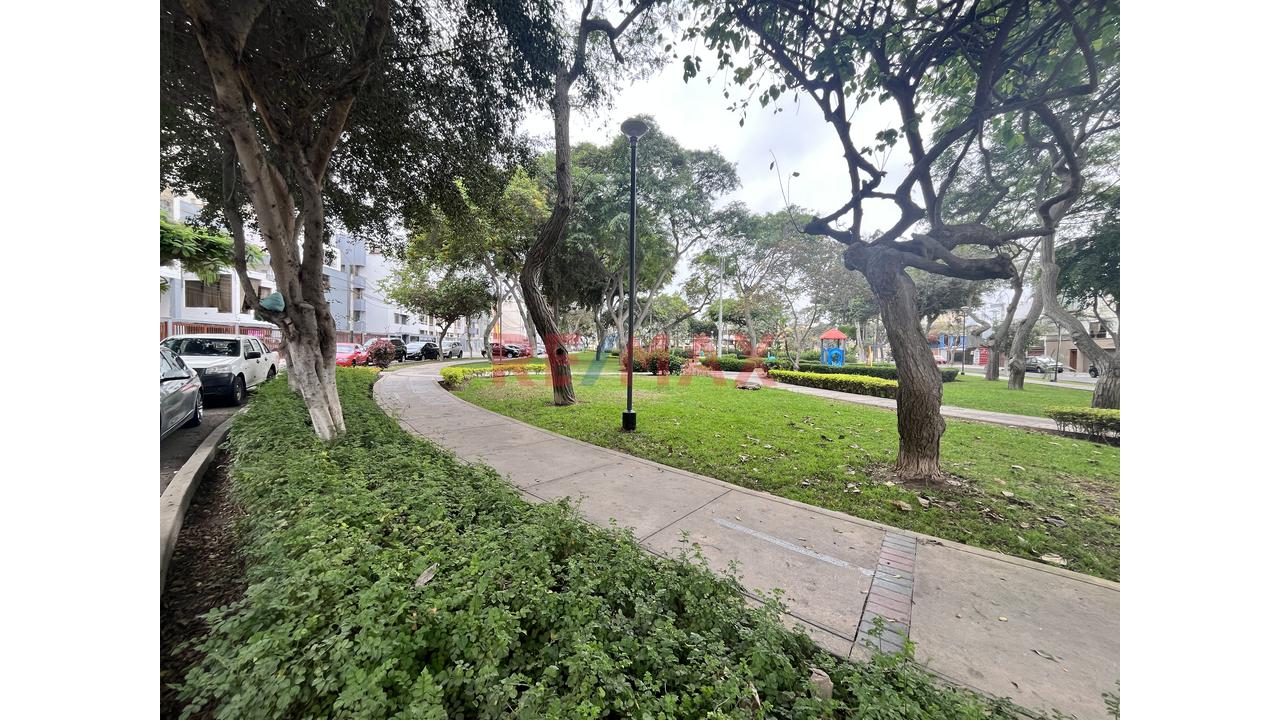 🌳 ¡Vive Frente A Parque En San Borja! - 17