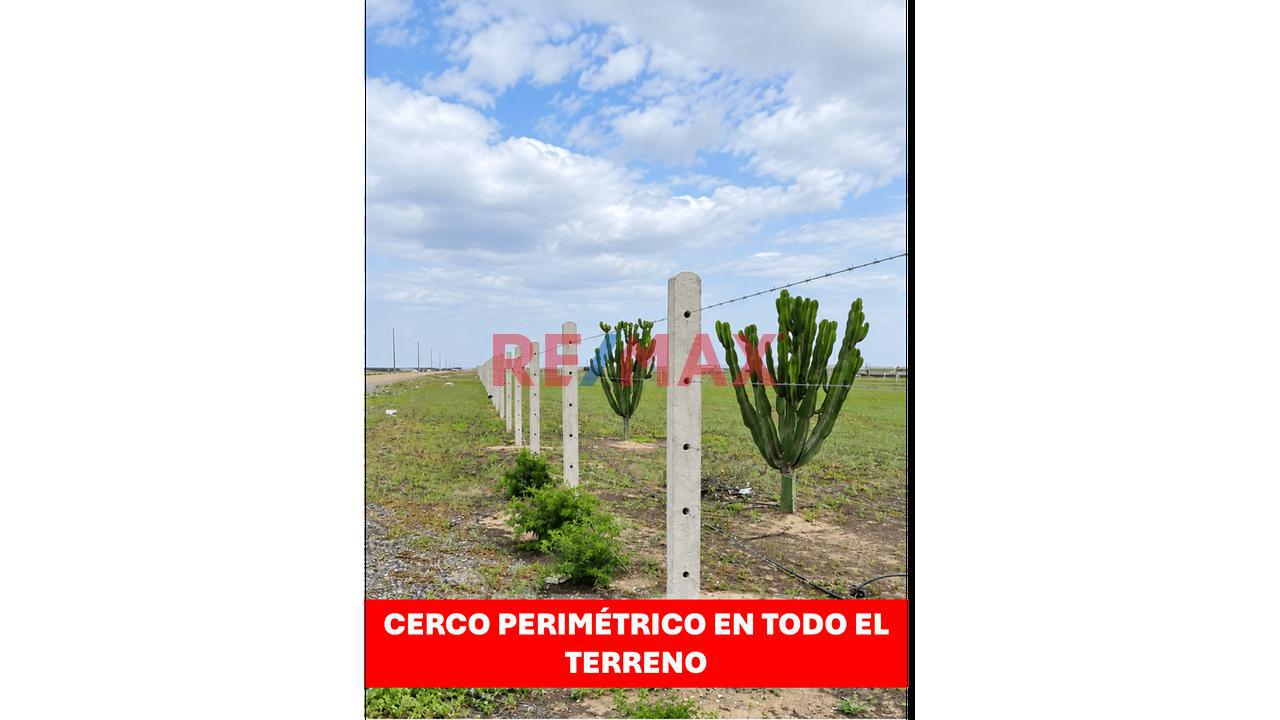 Terreno De 5,000 M² Con Frente A La Panamericana Norte | Km 113 - 10