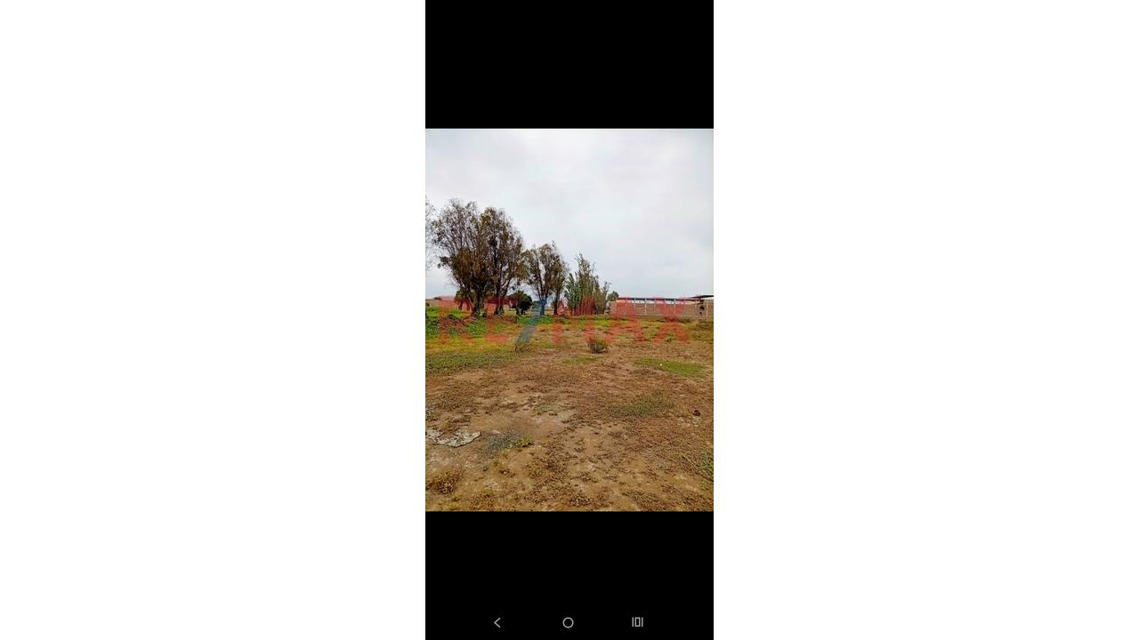 🌿Oportunidad 🌿Se Vende Terreno En Santa Rosa Moche - 2