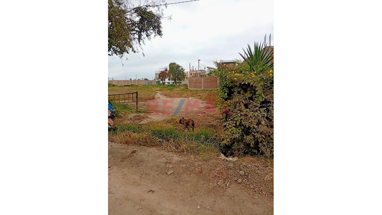 Venta De Terreno De 300M2 En Sta. Rosa - 4