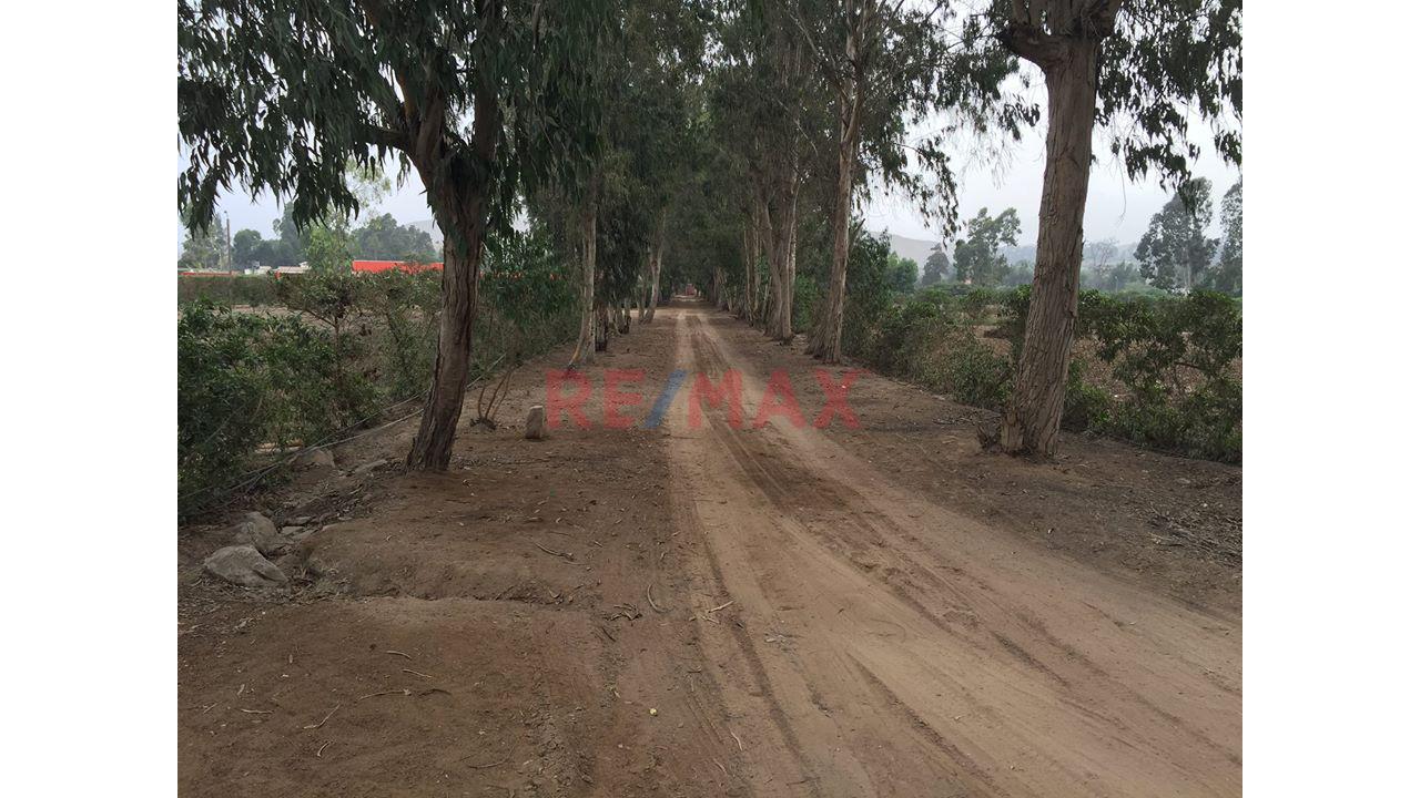 Se Vende Terreno En Condominio De Pachacamac Iii Etapa , Ubicado En La Parte Oeste De La Parcela Del Fundo Rustico San Fernando, — foto 5