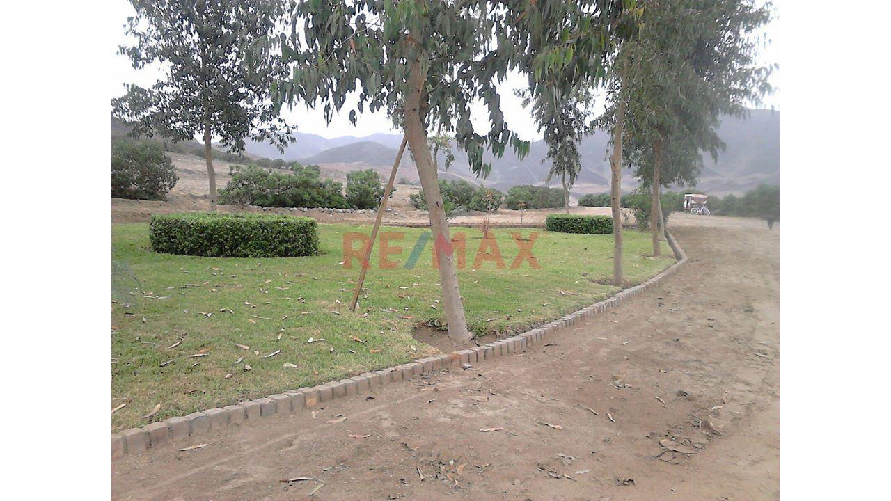 Se Vende Terreno En Condominio De Pachacamac Iii Etapa , Ubicado En La Parte Oeste De La Parcela Del Fundo Rustico San Fernando, — foto 12