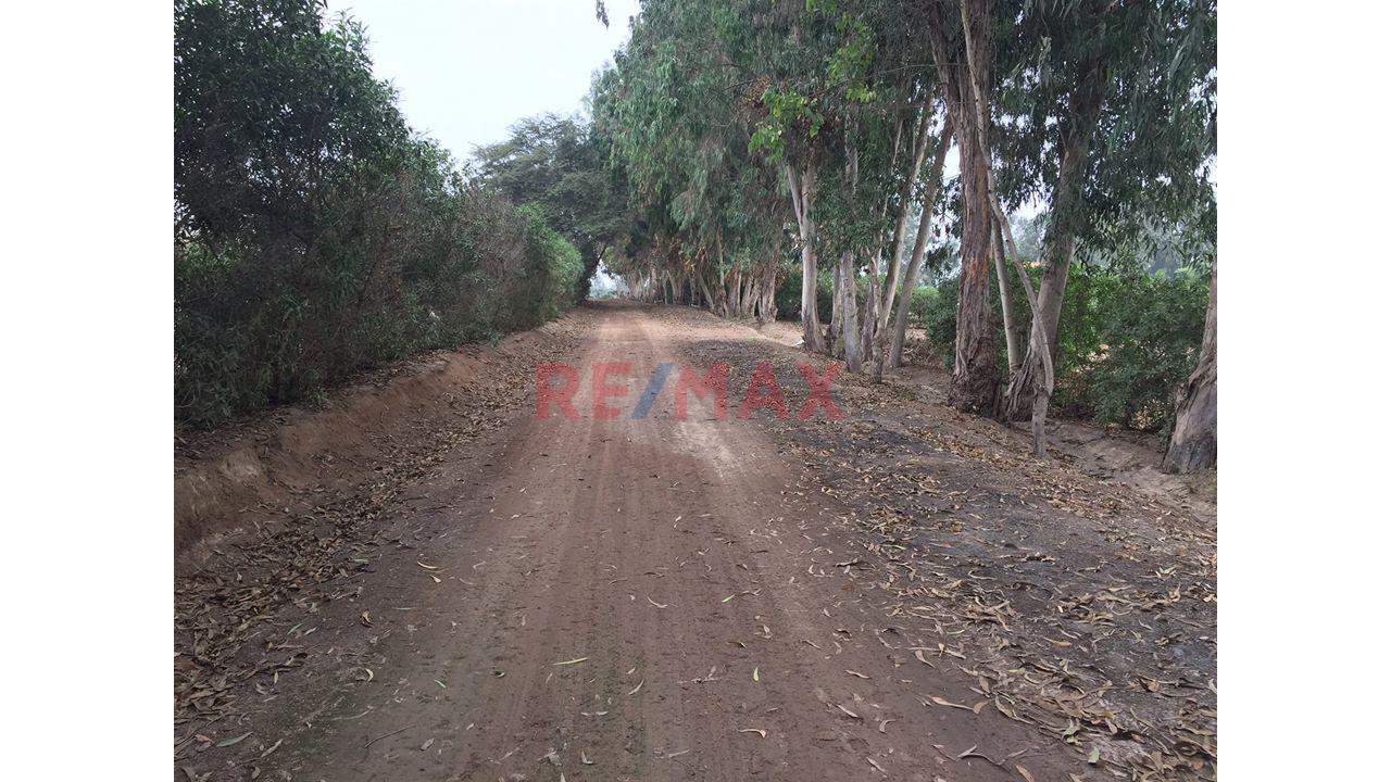Se Vende Terreno En Condominio De Pachacamac Iii Etapa , Ubicado En La Parte Oeste De La Parcela Del Fundo Rustico San Fernando, — foto 7