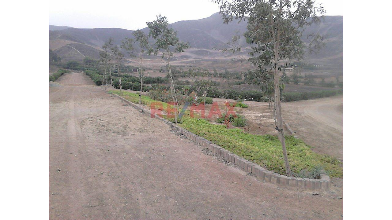 Se Vende Terreno En Condominio De Pachacamac Iii Etapa , Ubicado En La Parte Oeste De La Parcela Del Fundo Rustico San Fernando, — foto 10